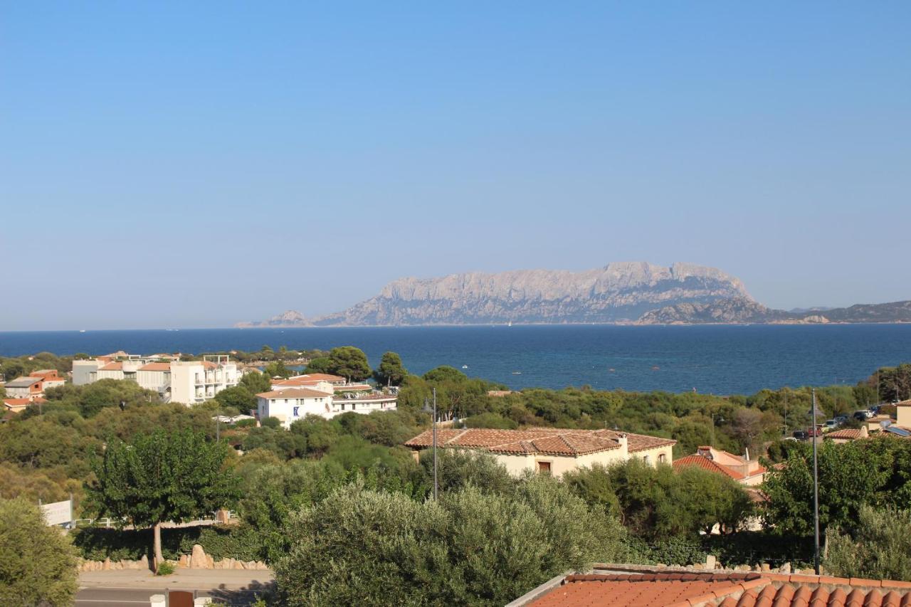 La Conchiglia Villa Olbia Dış mekan fotoğraf